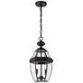 2_Westover 18 3/4" High Black Outdoor Hanging Light