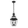7_Westover 18 3/4" High Black Outdoor Hanging Light more views