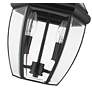 Westover 18 3/4" High Black Outdoor Hanging Light