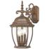 Wexford 3-Light Burled Walnut Wall Light