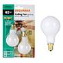 White 2-Pack 40 Watt A15 Candle Base Fan Light Bulbs