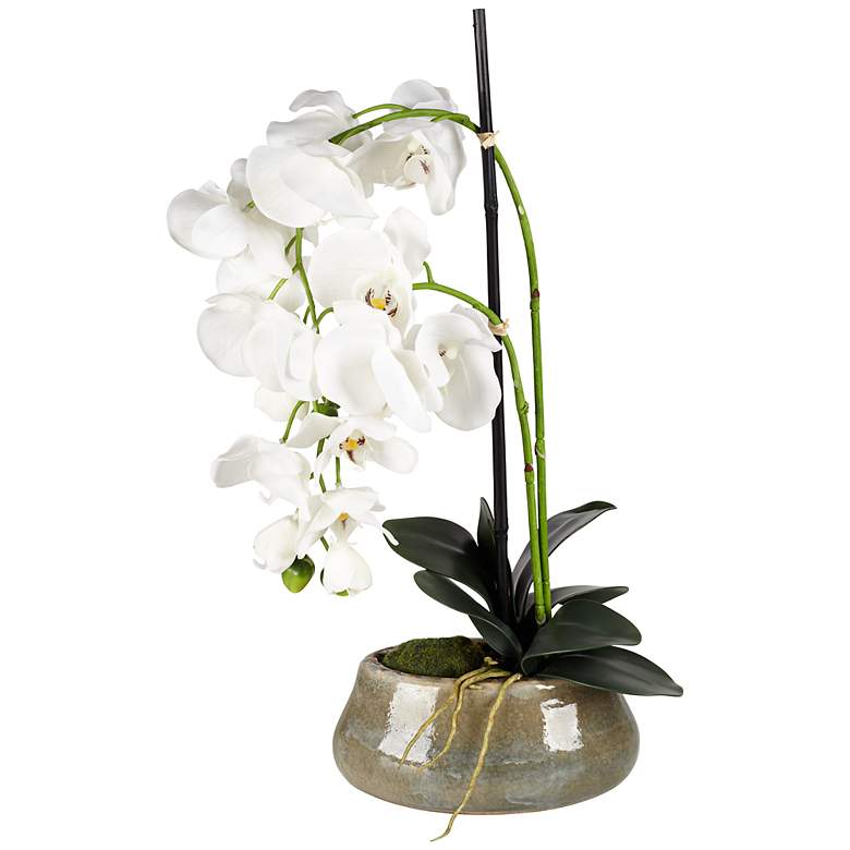 Image 1 White 21 inch High Faux Orchids in Beige Ceramic Pot