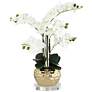 White 23"H Gold Faux Orchid With 7" Acrylic Riser