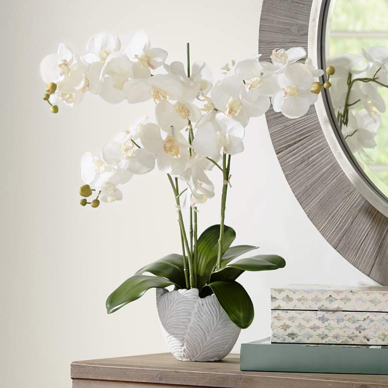 Image 1 White 26 1/2 inch Wide Silk Orchids in Textured White Cement Pot