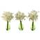 White Alliums 11" High Flowers in Green Glass Vases Set of 3