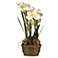 White Amaryllis 25" High Faux Flower Arrangement