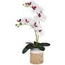White and Purple Orchid 23 1/2" High Faux Flowers in Ceramic Pot