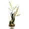 White Baby Dendrobium Orchids 35"H Faux Flowers in Vase 