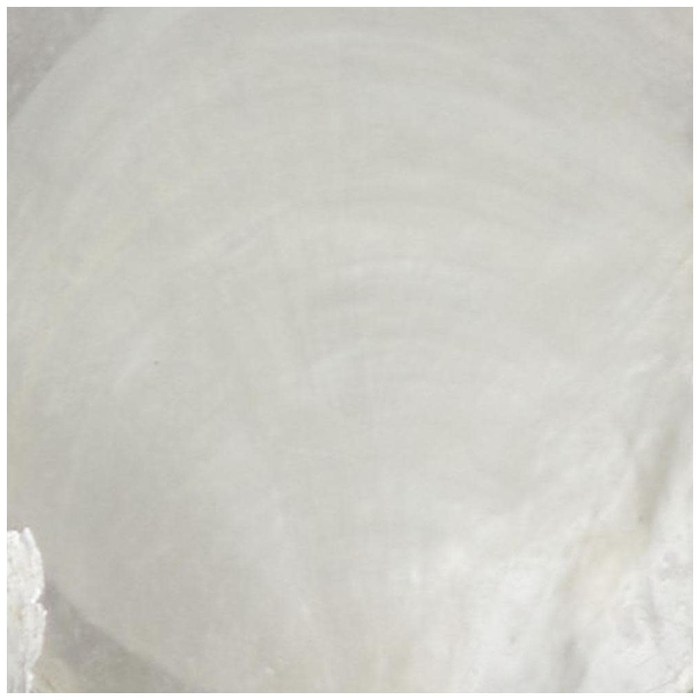 Image 7 White Capiz Shell Contemporary Wall Decor, 40" x 2" x 40" more views