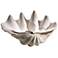 White Clam Shell Decorative Bowl