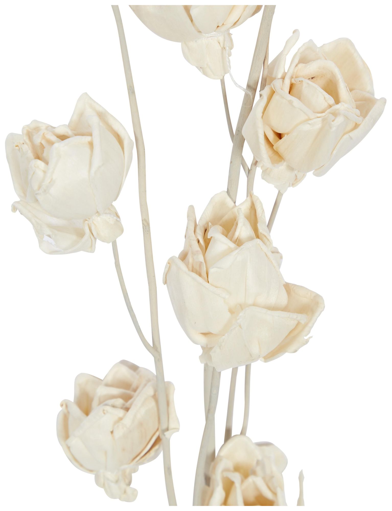 Image 3 White Dried Plant Coastal Natural Foliage, S/2 5"W, 38"H more views