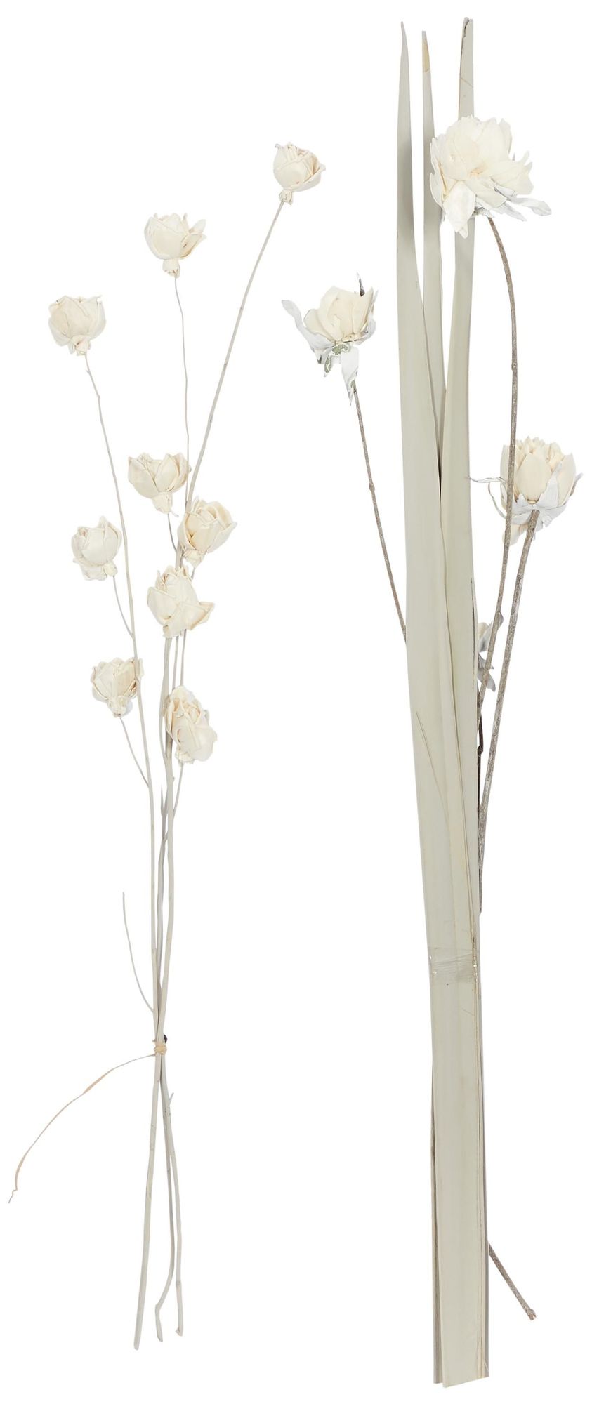 Image 5 White Dried Plant Coastal Natural Foliage, S/2 5"W, 38"H more views