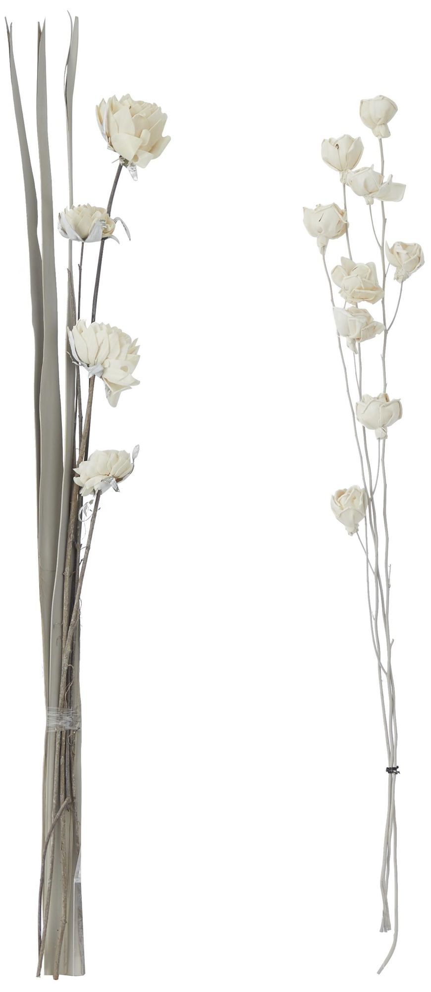 Image 6 White Dried Plant Coastal Natural Foliage, S/2 5"W, 38"H more views
