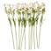 White Faux Foliage Traditional Artificial Flower Stem, S/12 32"H
