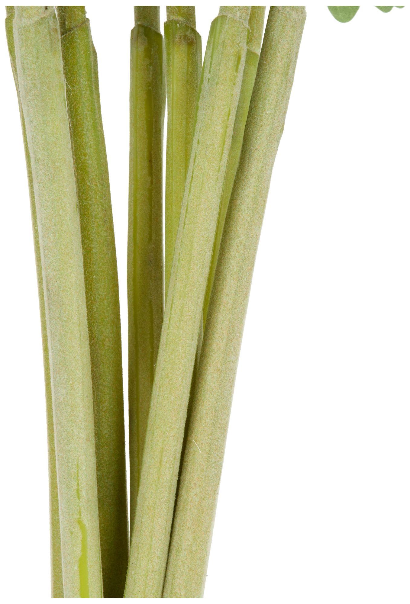 Image 2 White Faux Foliage Traditional Artificial Flower Stem, S/8 44"H more views