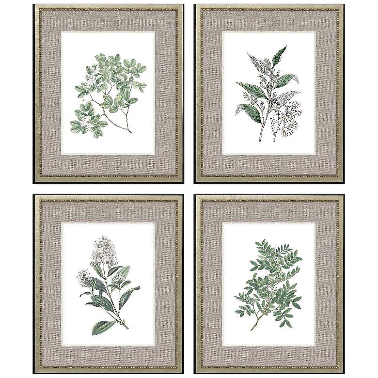 Image 1 White Flowers 20"W x 24"H Framed Art Set of 4