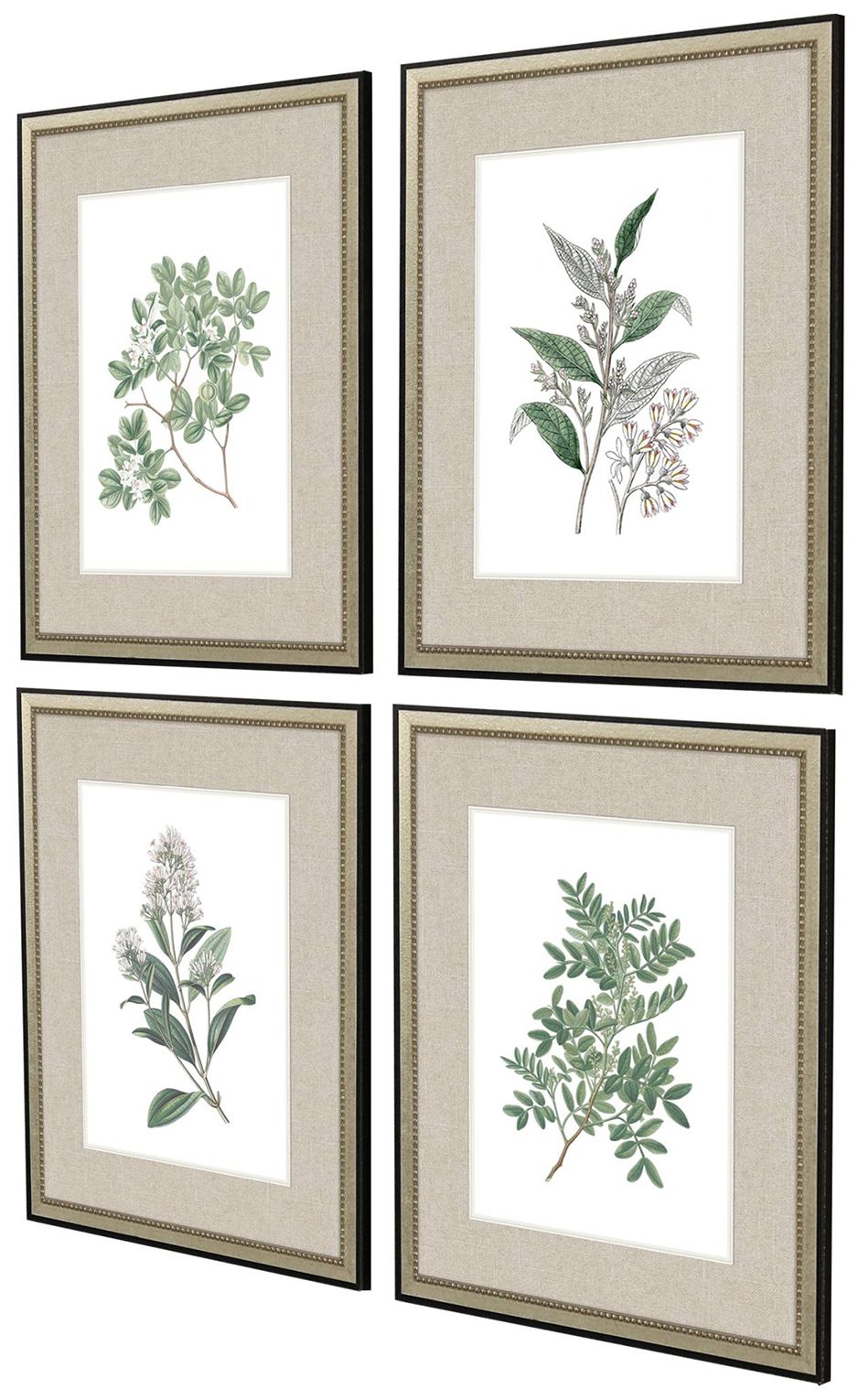 Image 2 White Flowers 20"W x 24"H Framed Art Set of 4 more views