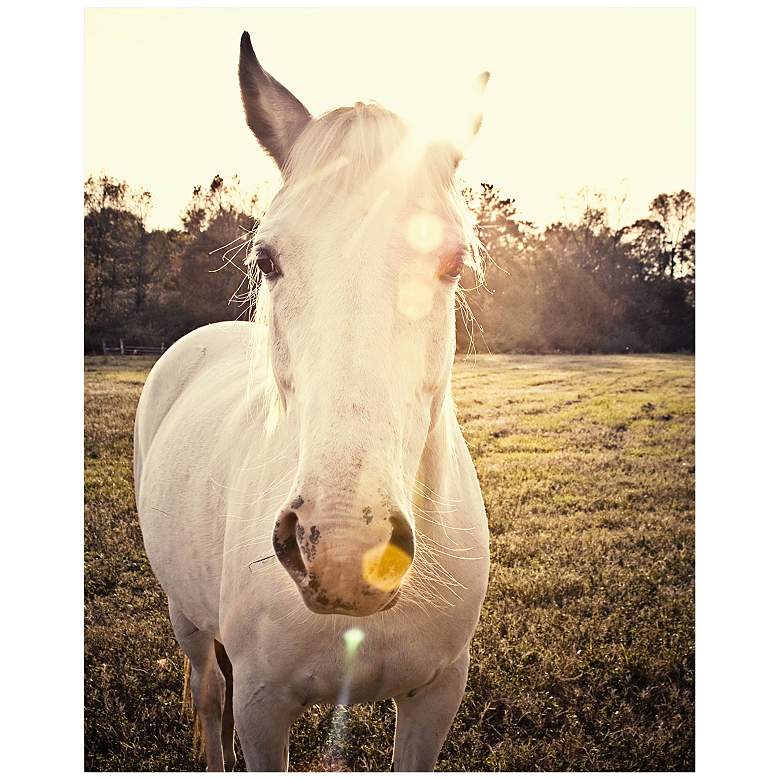 Image 1 White Horse 20 inch High Canvas Wall Art