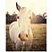 White Horse 20" High Canvas Wall Art