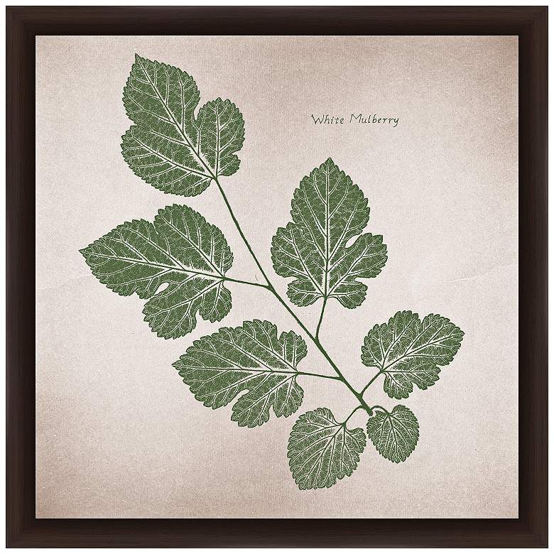 Image 1 White Mulberry 14 inch Square Framed Giclee Wall Art