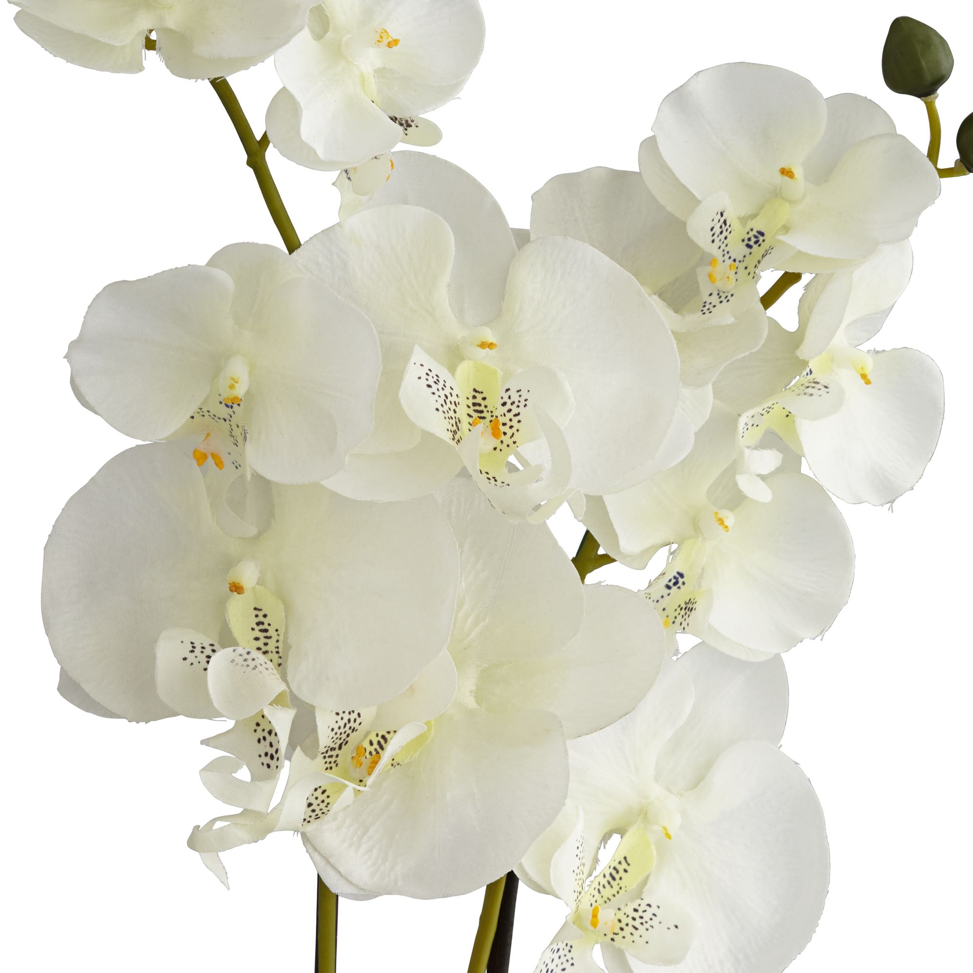 Image 3 White Orchid 22" High Faux Flowers in Gold Ceramic Pot Set of 2 more views