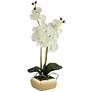 White Orchid  22" High Faux Flowers in Gold Ceramic Pot in scene