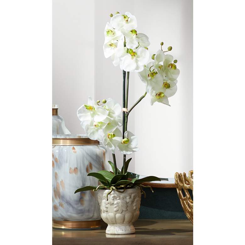 Image 1 White Phalaenopsis 21 1/2 inchH Faux Orchid in White Ceramic Pot