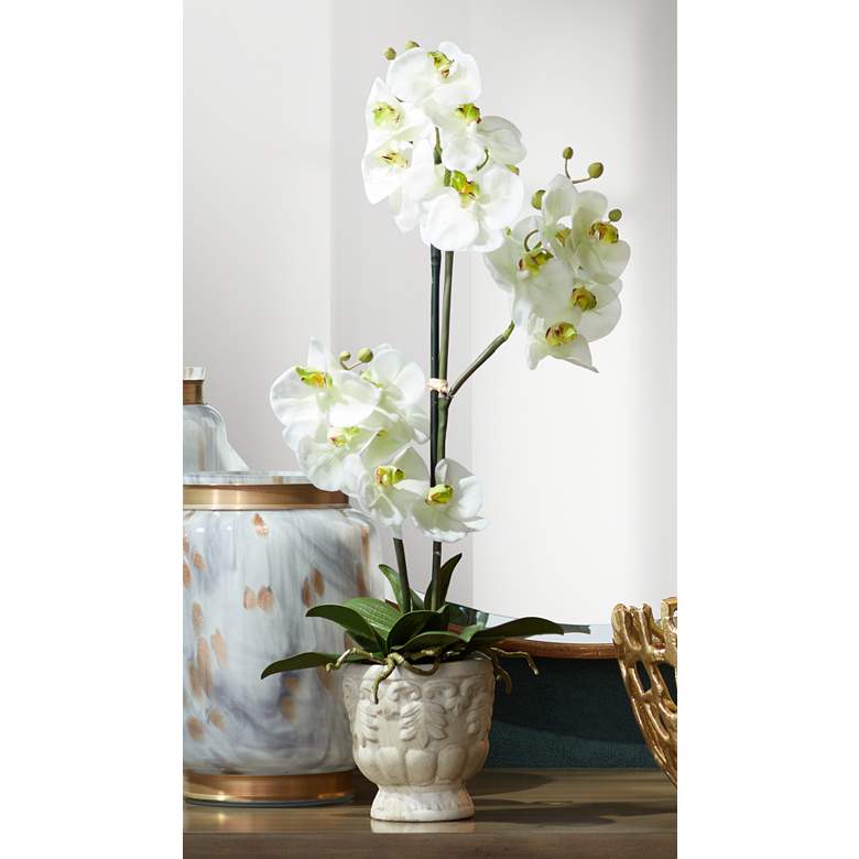 Image 1 White Phalaenopsis 21 1/2"H Faux Orchid in White Ceramic Pot
