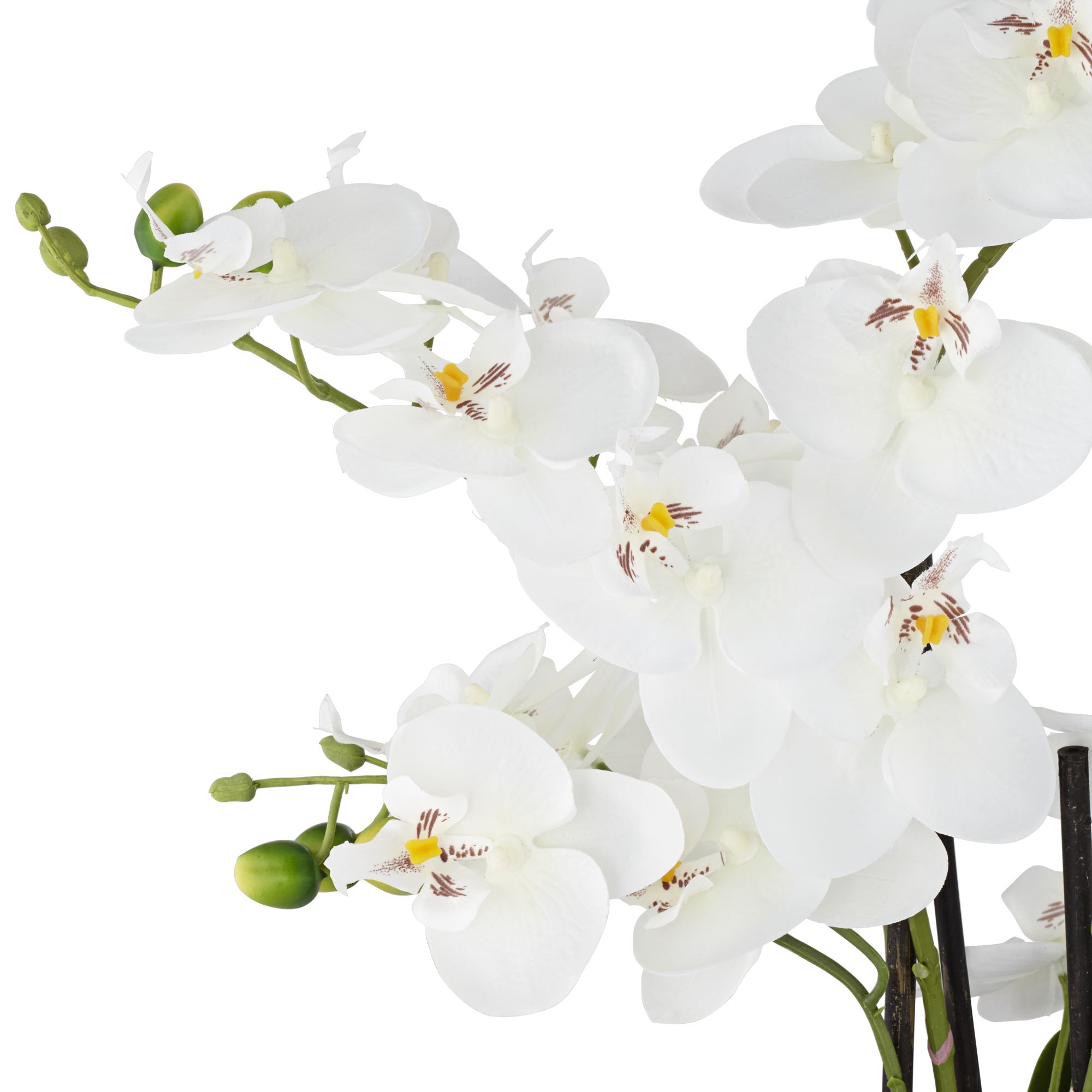 Image 2 White Phalaenopsis 23"H Faux Orchid With 7" Round Acrylic Riser more views