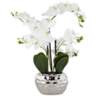 White Phalaenopsis 23" High Faux Orchid Flower in Silver Resin Pot
