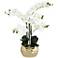 White Phalaenopsis 23"H Faux Orchid in Gold Ceramic Pot