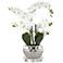 White Phalaenopsis 23"H Faux Orchid With 7" Round Acrylic Riser
