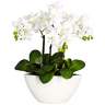 White Phalaenopsis Orchid 16" High Faux Flowers