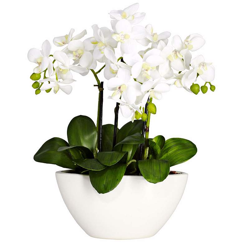 Image 1 White Phalaenopsis Orchid 16" High Faux Flowers