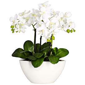 Image1 of White Phalaenopsis Orchid 16" High Faux Flowers