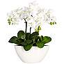 White Phalaenopsis Orchid 16" High Faux Flowers
