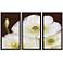 White Poppies Triptych Set of 3 Flower Wall Art