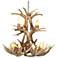 Whitetail 28-30"W 12-Light Natural-Shed Antler Chandelier