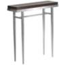 Wick 30" Wide Espresso Wood and Sterling Metal Console Table