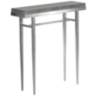 Wick 30" Wide Gray Wood and Sterling Metal Console Table