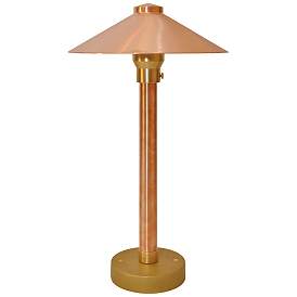 Image1 of Wide China Hat 16 1/2" High Natural Copper LED Area Light
