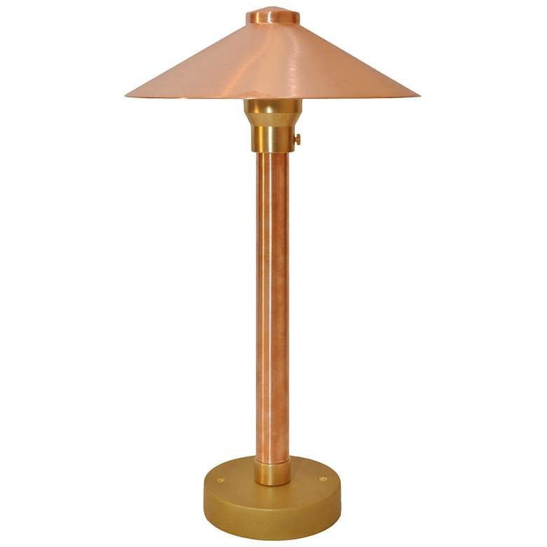 Image 1 Wide China Hat 16 1/2 inch High Natural Copper LED Area Light