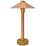 Wide China Hat 16 1/2" High Natural Copper LED Area Light