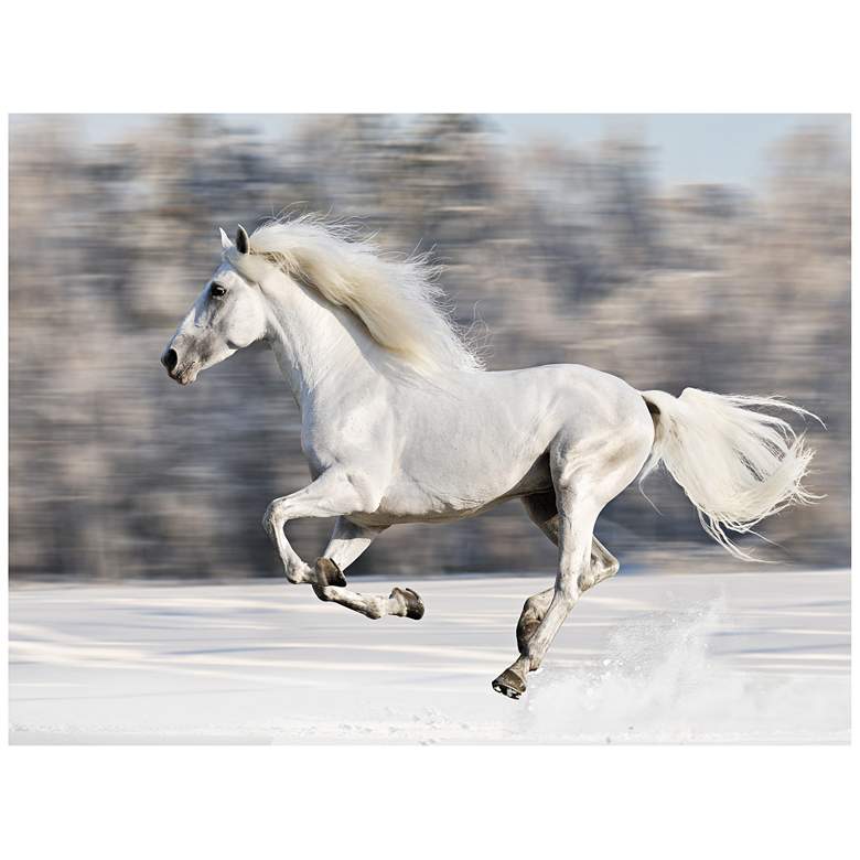 Image 1 Wild And Free 40 inch Wide All-Season Outdoor Canvas Wall Art