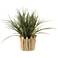 Wild Grass 16"W Faux Plant in Wood and Glass Planter