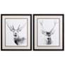 1_Wilderness Stare 22"W x 26"H Framed Art Set of 2