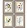 Wildflower 22" High 4-Piece Framed Giclee Wall Art Set 