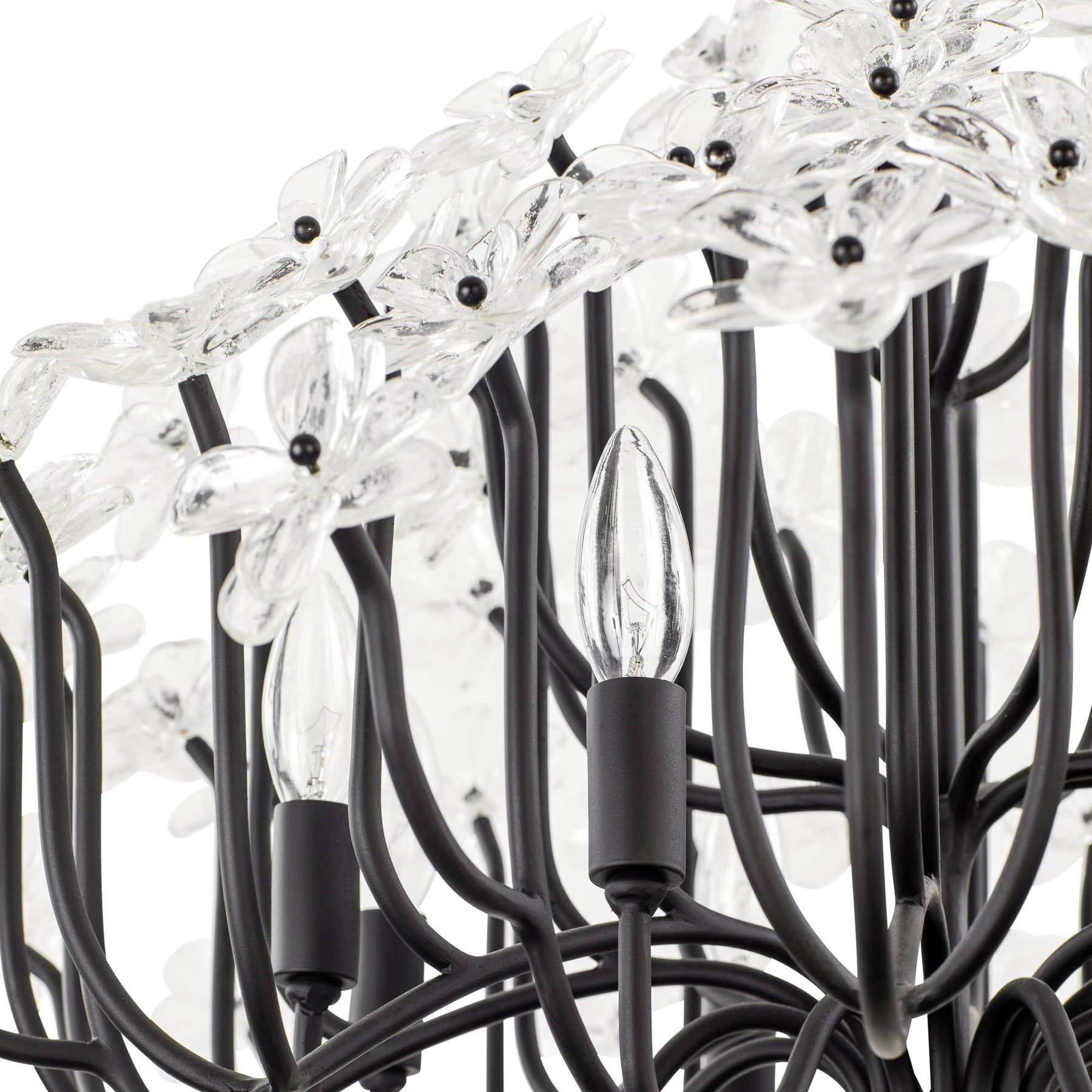 Image 4 Wildflower 8-Lt Chandelier - Matte Black more views