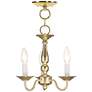 2_Williamsburg 11-in 3-Light Polished Brass Candle Chandelier