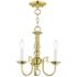 Williamsburgh 14-in 3-Light Polished Brass Candle Chandelier